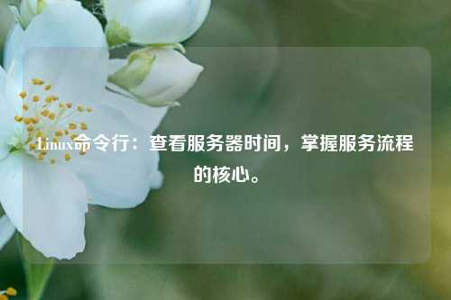Linux命令行：查看服務器時間，掌握服務流程的核心。