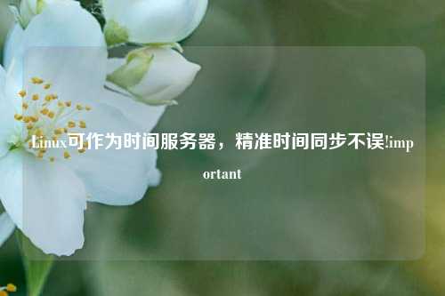 Linux可作為時(shí)間服務(wù)器，精準(zhǔn)時(shí)間同步不誤!important