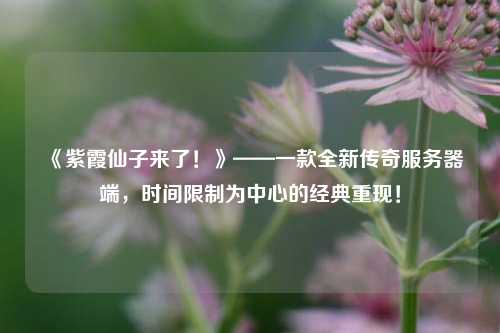 《紫霞仙子來了！》——一款全新傳奇服務(wù)器端，時間限制為中心的經(jīng)典重現(xiàn)！