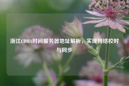浙江CDMA時(shí)間服務(wù)器地址解析，實(shí)現(xiàn)網(wǎng)絡(luò)校時(shí)與同步