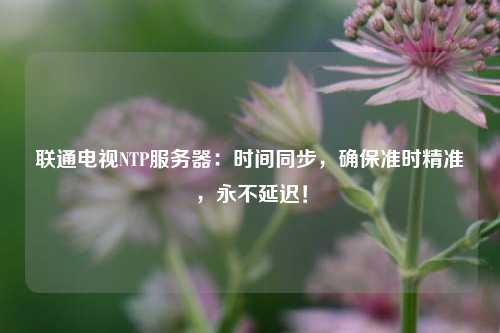 聯(lián)通電視NTP服務(wù)器：時(shí)間同步，確保準(zhǔn)時(shí)精準(zhǔn)，永不延遲！