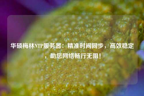 華碩梅林NTP服務器：精準時間同步，高效穩定，助您網絡暢行無阻！