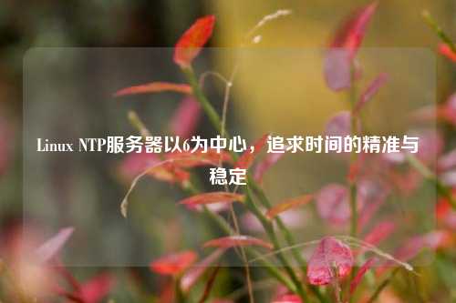 Linux NTP服務器以6為中心，追求時間的精準與穩定