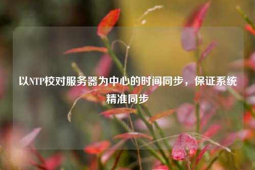 以NTP校對服務器為中心的時間同步，保證系統精準同步