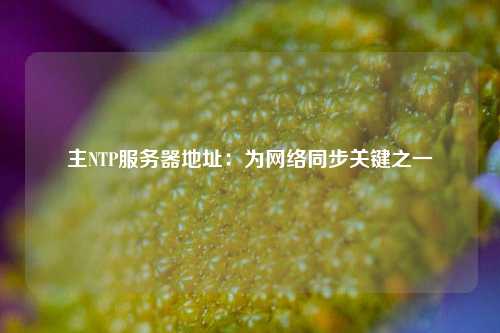 主NTP服務器地址：為網(wǎng)絡同步關(guān)鍵之一