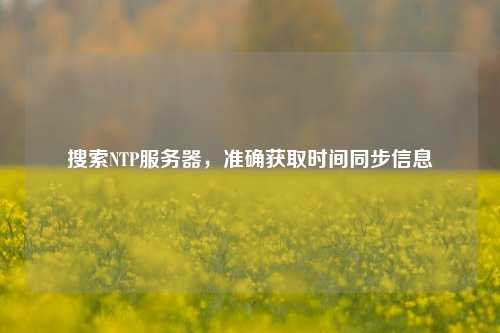 搜索NTP服務器，準確獲取時間同步信息