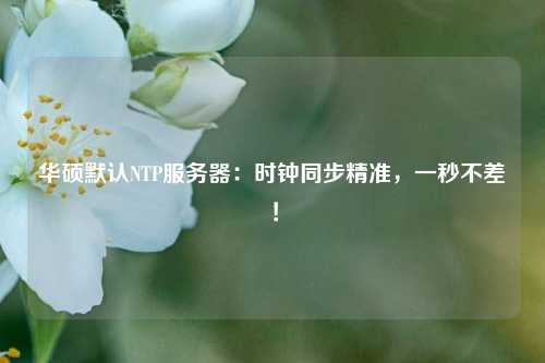 華碩默認(rèn)NTP服務(wù)器：時(shí)鐘同步精準(zhǔn)，一秒不差！