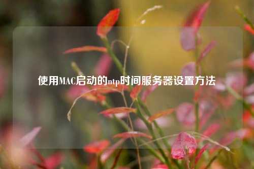 使用MAC啟動的ntp時(shí)間服務(wù)器設(shè)置方法