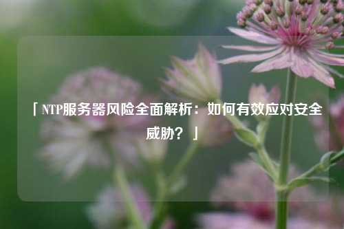「NTP服務(wù)器風險全面解析：如何有效應(yīng)對安全威脅？」