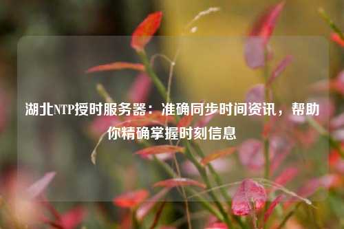 湖北NTP授時服務(wù)器：準確同步時間資訊，幫助你精確掌握時刻信息