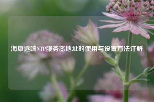 海康遠端NTP服務器地址的使用與設(shè)置方法詳解