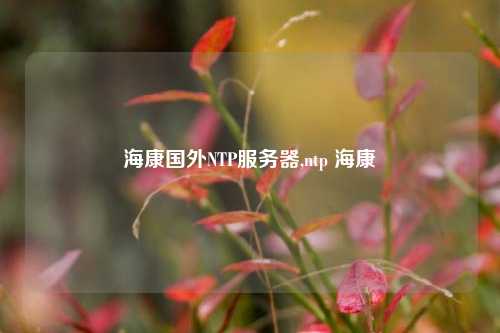 海康國外NTP服務器,ntp ?？? /></a></div>        <div   id=